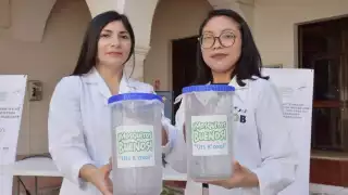 Disminuye hasta 70% el transmisor de dengue en Yucatán; se liberan 5 mil moscos buenos a la semana