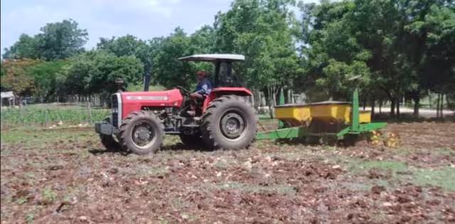 Los productores optan por adquirir deudas mediante préstamos a familiares, entre tres mil y seis mil pesos, para la adquisición de insumos