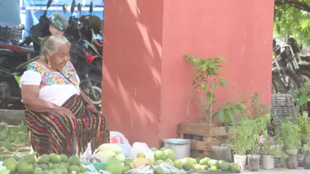 La pensión resulta insuficiente, lo que obliga a adultos mayores a trabajar en lo que sea