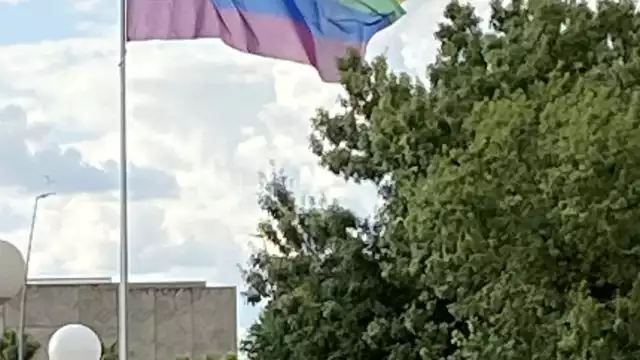 El mundo celebra el 43 aniversario de la creación de la bandera arcoíris