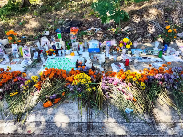 Las autoridades  hicieron un catálogo  que cuenta con más  de 700 imágenes