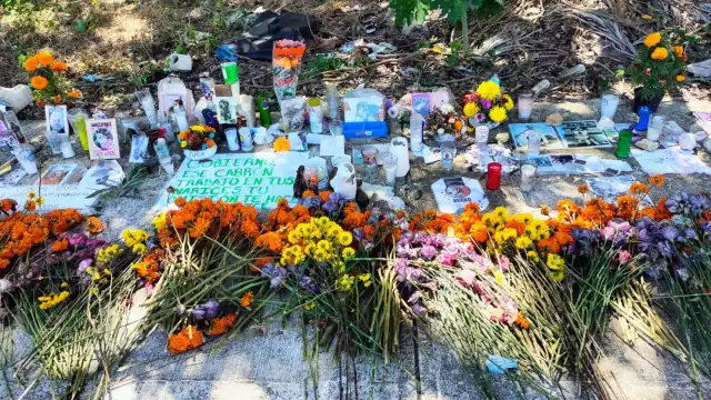 Las autoridades  hicieron un catálogo  que cuenta con más  de 700 imágenes