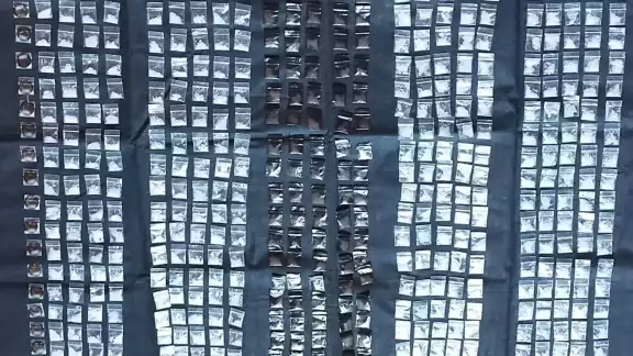 La droga fue decomisada por las autoridades La droga fue decomisada por las autoridades
