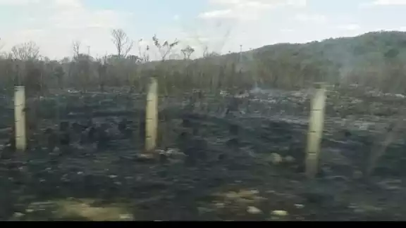 El incendio provocó abundante humo que dificultó la visibilidad de los automovilistas que pasaban por el lugar El incendio provocó abundante humo que dificultó la visibilidad de los automovilistas que pasaban por el lugar