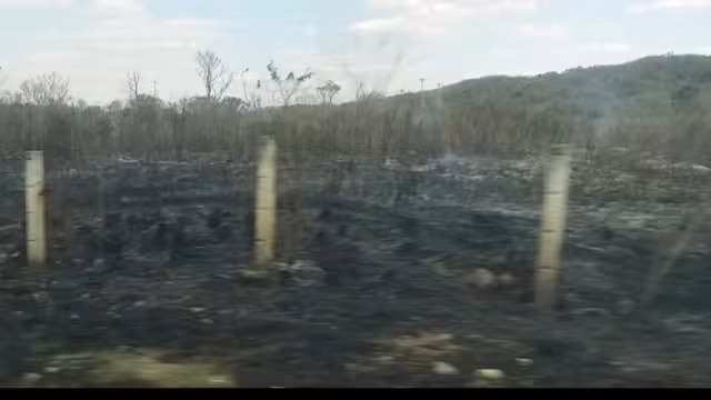 El incendio provocó abundante humo que dificultó la visibilidad de los automovilistas que pasaban por el lugar