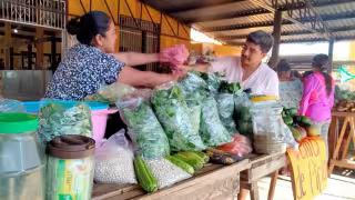 Cuaresma 2026 impulsa la venta de chaya, la espinaca maya más buscada en Yucatán