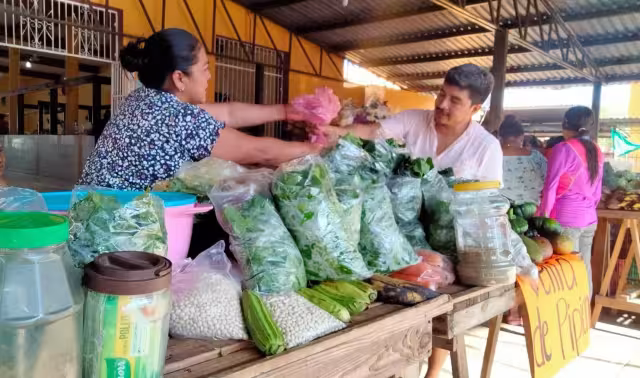 Aumenta la venta de  la chaya en mercados de Yucatán