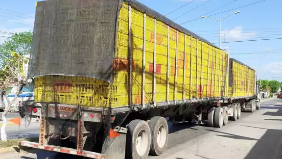 El precio del kilo de pollo tuvo un incremento considerable en el Sur de Quintana Roo El precio del kilo de pollo tuvo un incremento considerable en el Sur de Quintana Roo