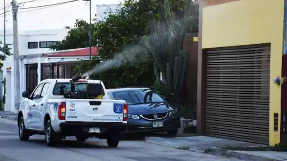 Los síntomas del padecimiento pueden ser fiebre alta, dolor de cabeza, dolor en articulaciones y erupciones en la piel