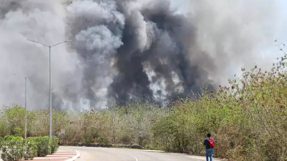 Los incendios se han registrado en terrenos baldíos y carreteras Los incendios se han registrado en terrenos baldíos y carreteras