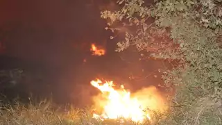 Luego de una hora, el fuego fue controlado por bomberos de Progreso