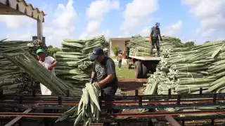 Henequeneros piden ayuda para salvar la industria