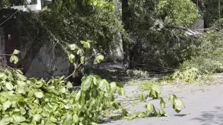 La SSP Yucatán tiene acordonada la colonia San Antonio Kaua de Mérida