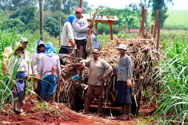Zafra 2025–2026 inicia con endeudamiento de más de 12 millones en Campeche