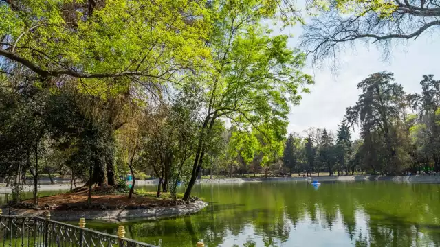 Al igual que Chapultepec, el Central Park contará con un lago artificial con barquitos