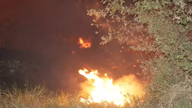 Luego de una hora, el fuego fue controlado por bomberos de Progreso