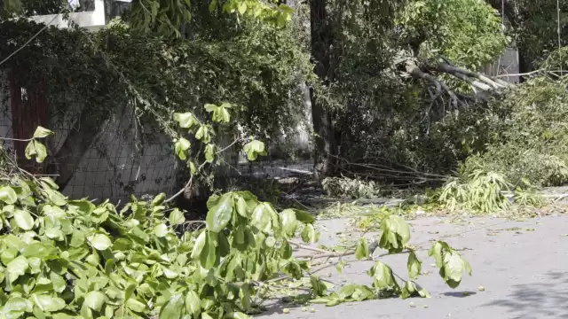 La SSP Yucatán tiene acordonada la colonia San Antonio Kaua de Mérida