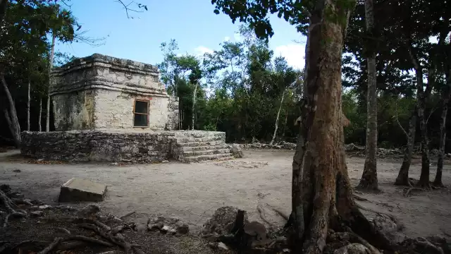 El Programa de Mejoramiento de Zonas Arqueológicas contempla una inversión histórica de más de 4 mil millones de pesos para resguardar bienes muebles e inmuebles en todo el recorrido del Tren Maya