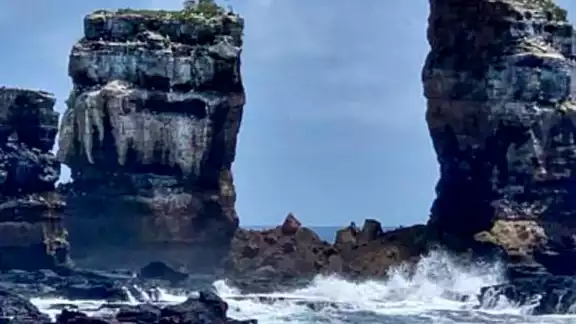 La isla lleva el nombre en honor al naturalista inglés Charles Darwin, que usó como laboratorio natural el archipiélago para desarrollar su teoría sobre la evolución de las especies. La isla lleva el nombre en honor al naturalista inglés Charles Darwin, que usó como laboratorio natural el archipiélago para desarrollar su teoría sobre la evolución de las especies.