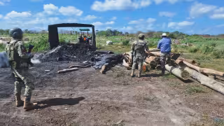 Campeche, único estado de la Península con operativos contra la tala ilegal al cierre de julio