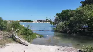 Estas agrupaciones han declarado sobre el caso