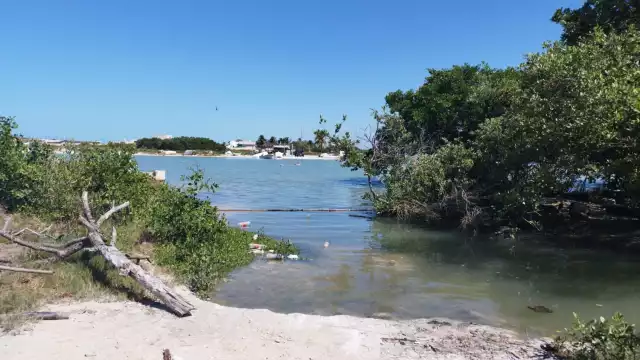 Estas agrupaciones han declarado sobre el caso