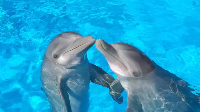 Resaltaron llegar a  una cultura de respeto, cuidado y responsabilidad