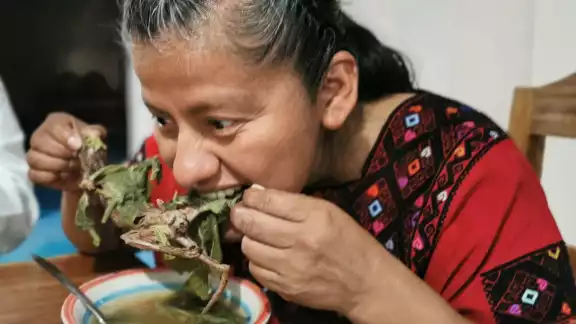 Para algunos sectores del sureste mexicano, este es un platillo típico regional Para algunos sectores del sureste mexicano, este es un platillo típico regional