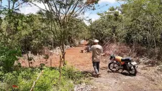 FOTO: vía Reserva Cuxtal