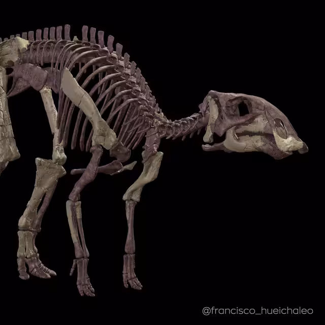 Los restos fueron encontrados en 2013 y posteriormente los científicos lograron clasificarlo