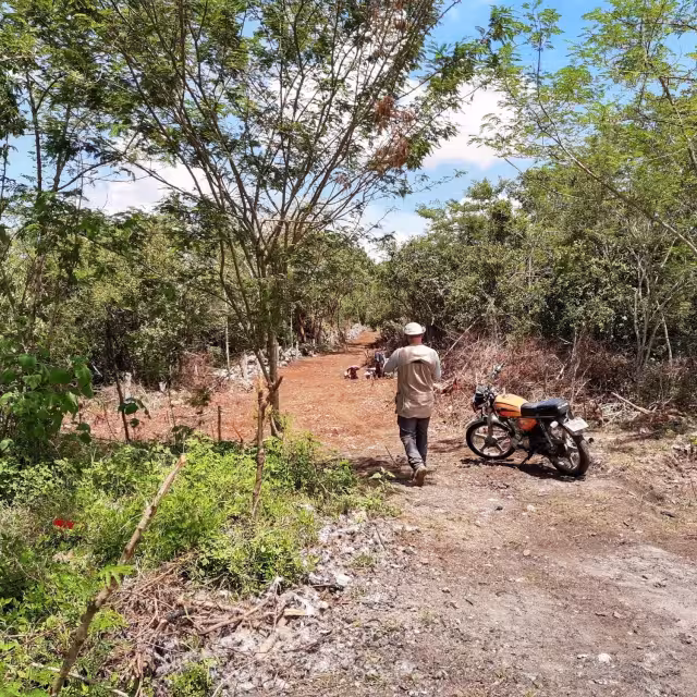 FOTO: vía Reserva Cuxtal