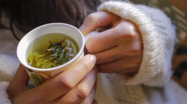 Los tés o infusiones naturales siempre han sido un gran remedio para evitar la gripe