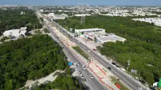 El cadáver del puma quedó tendido en la carretera Cancún-Chetumal