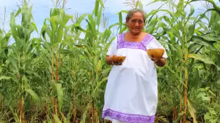 El Hanal Pixán es una red viva en la que intervienen miles de agricultores, familias mayas y cultivos de temporada