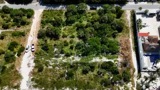 Profepa frena cinco proyectos inmobiliarios en la costa de Yucatán por afectar a dunas y matorrales