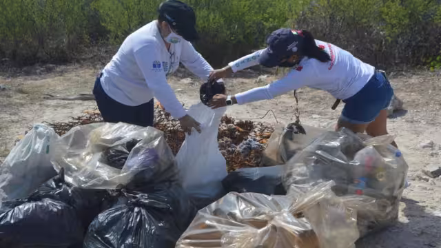 Voluntarios hicieron una campaña de limpieza, en el marco del Día Mundial de los Océanos