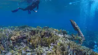 La belleza del mar azul, coral y un toque de historia