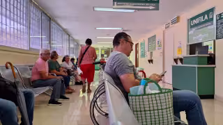 Yucatán acumula 22 casos de leishmaniasis cutánea: 10 se registraron en 6 días