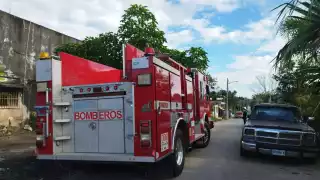 Debido a la conducta de las abejas, bomberos no lograron la captura de la colonia, por lo que pidieron a los vecinos no salir de sus casas.