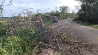 Torrencial aguacero inunda vivienda y derriba árboles en Hopelchén