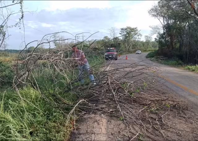 Las lluvias provocaron fuertes corrientes de agua y caída de árboles en carreteras.
