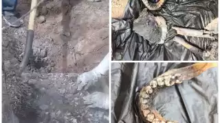 Colectivo de Madres halla pozo con restos humanos calcinándose en Guaymas: VIDEO
