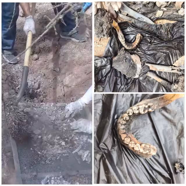 Restos humanos encontrados en un pozo en Guaymas