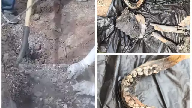 Restos humanos encontrados en un pozo en Guaymas