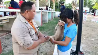 Este jueves 13 de noviembre de 2025 se realizará una jornada estatal de vacunación antirrábica canina y felina en Campeche.