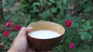 Su composición se basa del maíz de las cosechas recientes, distintivo de las comunidades