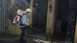 En un plantel escolar se detectó el Aedes Aegypti