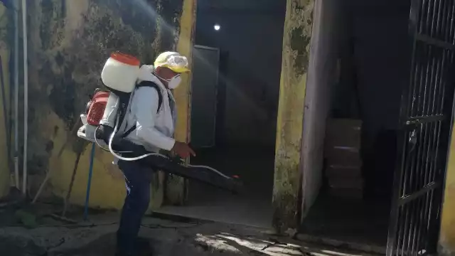 En un plantel escolar se detectó el Aedes Aegypti