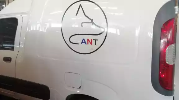 Denuncian maltrato animal por parte de escuela canina