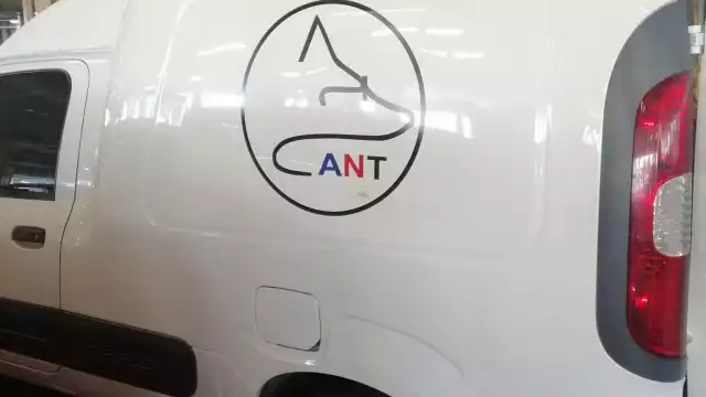 Denuncian maltrato animal por parte de escuela canina